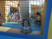 Festa_Infantil_026