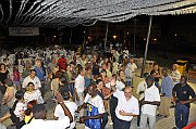 _DSC4531