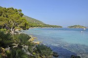 _DSC4546